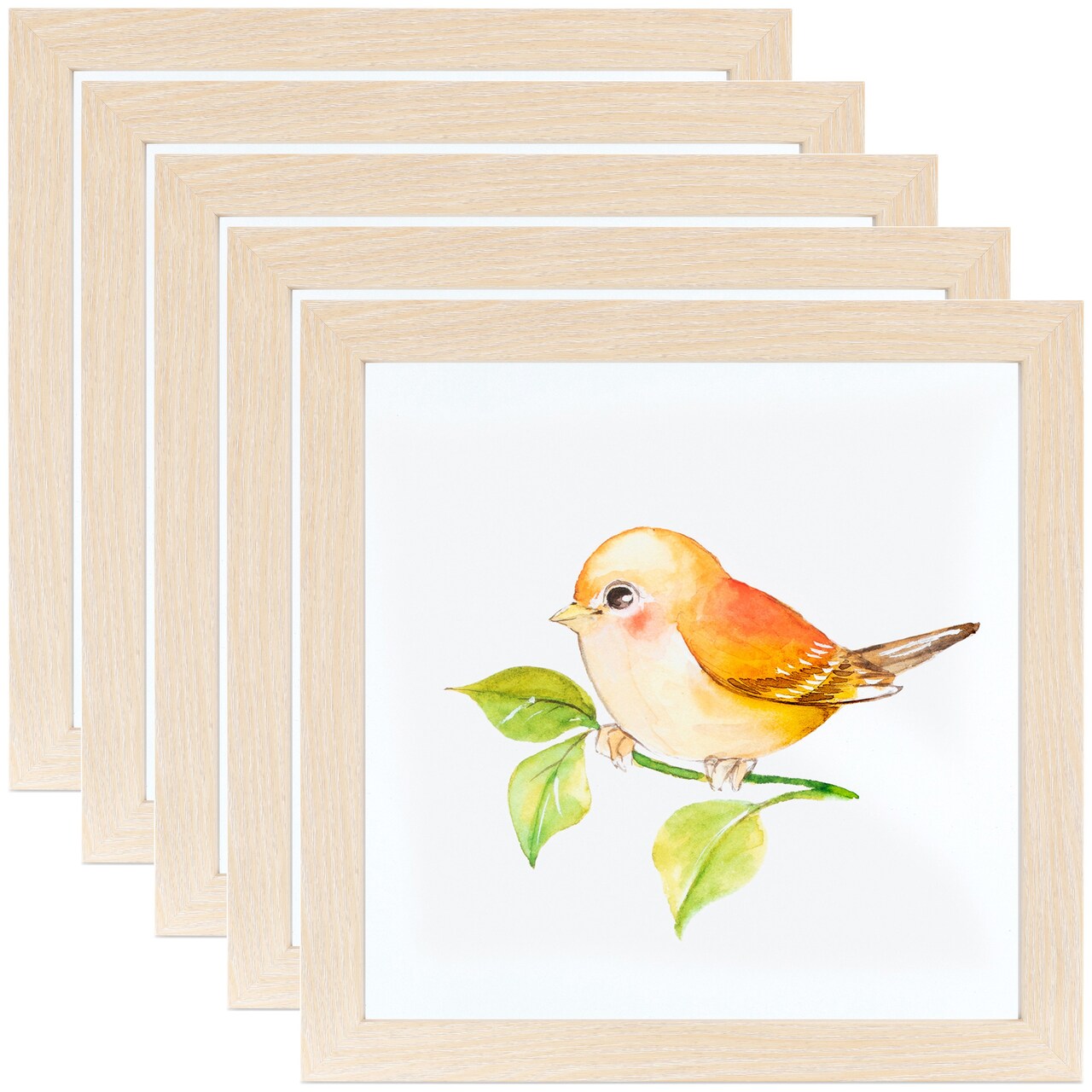 ArtToFrames 14x14 Inch Modern Picture Frame, Multi Pack, Comes with Regular Glass (WOMPack-46-14x14)